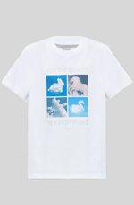 Load image into Gallery viewer, ANIMAL CLOUDS T-SHIRT
