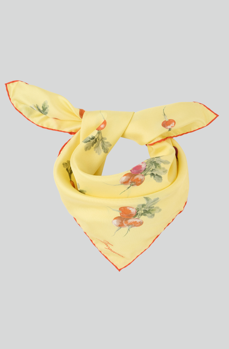 LE FOULARD RADIS