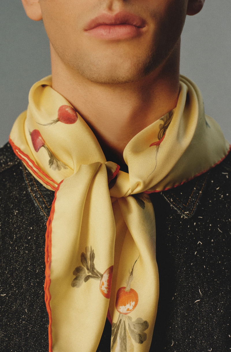 LE FOULARD RADIS