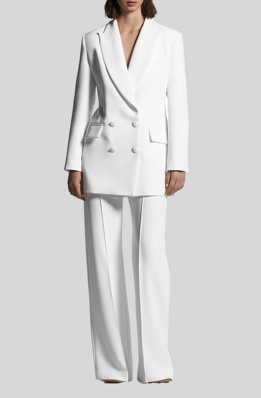 REGULATOR BLAZER AND CAPABILITY PANT SUIT SET